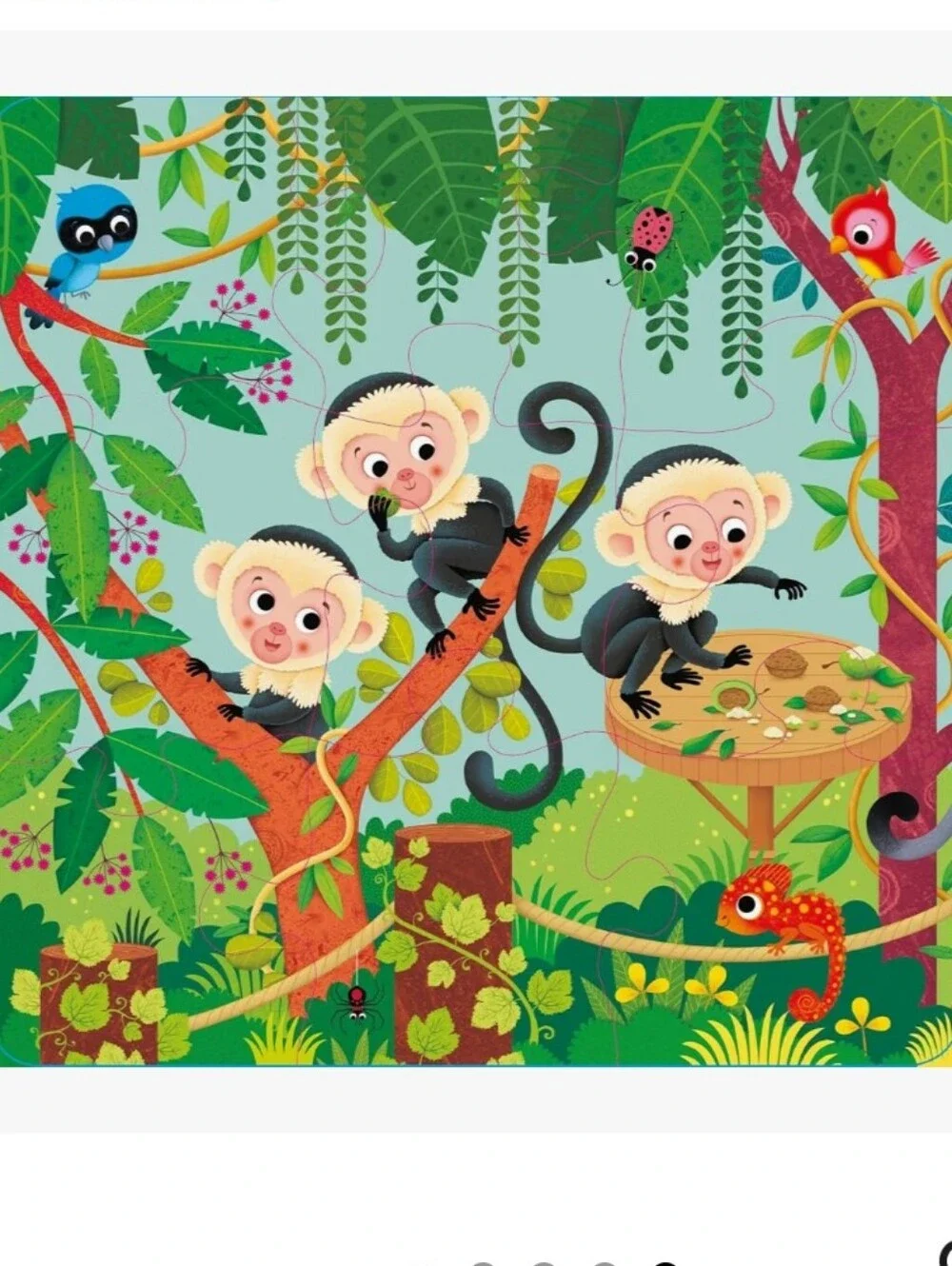usborne new zoo